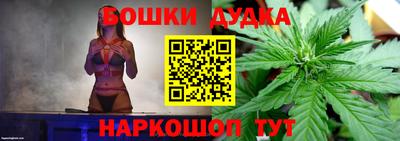 тгк Славгород