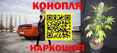СК Славянск-на-Кубани