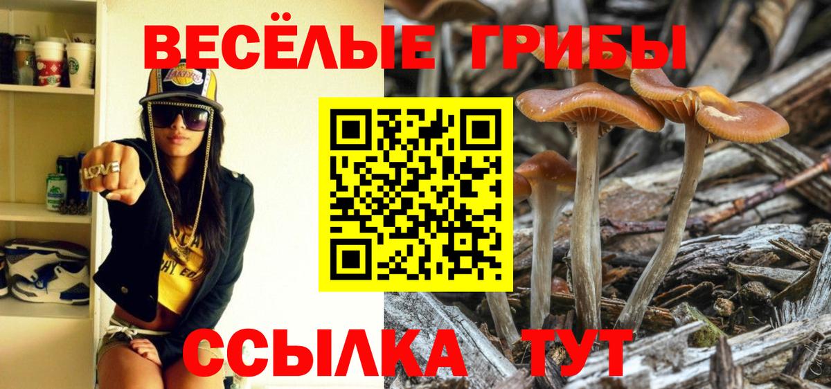 Братск  Псилоцибиновые грибы ЛСД  Вход с VPN 